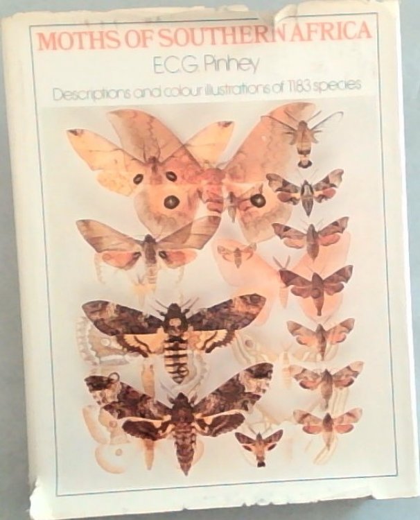 Moths Of Southern Africa