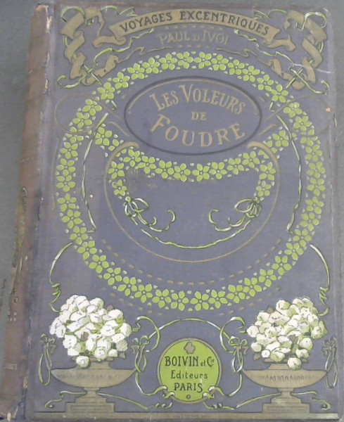 Image for Les Voleurs de Foudre (Voyages Excentriques) Les Voleurs de Foudre (Voyages Excentriques)