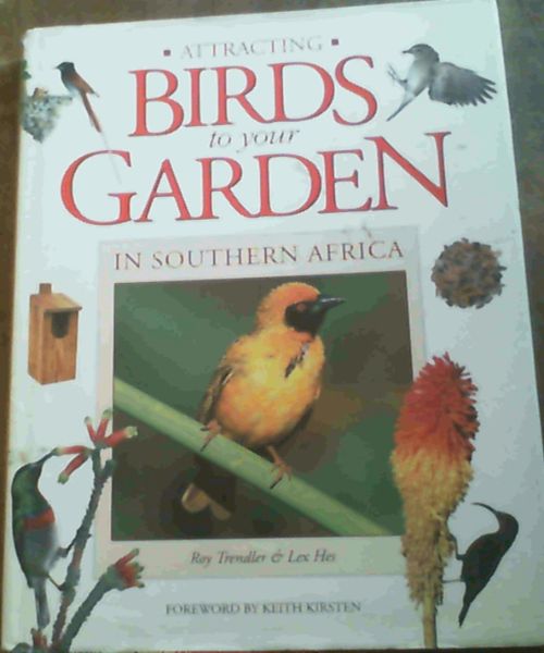 Attracting Birds to your Garden in Southern Africa