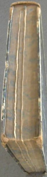 Reize naar Bengalen en Terugreize naar Europa