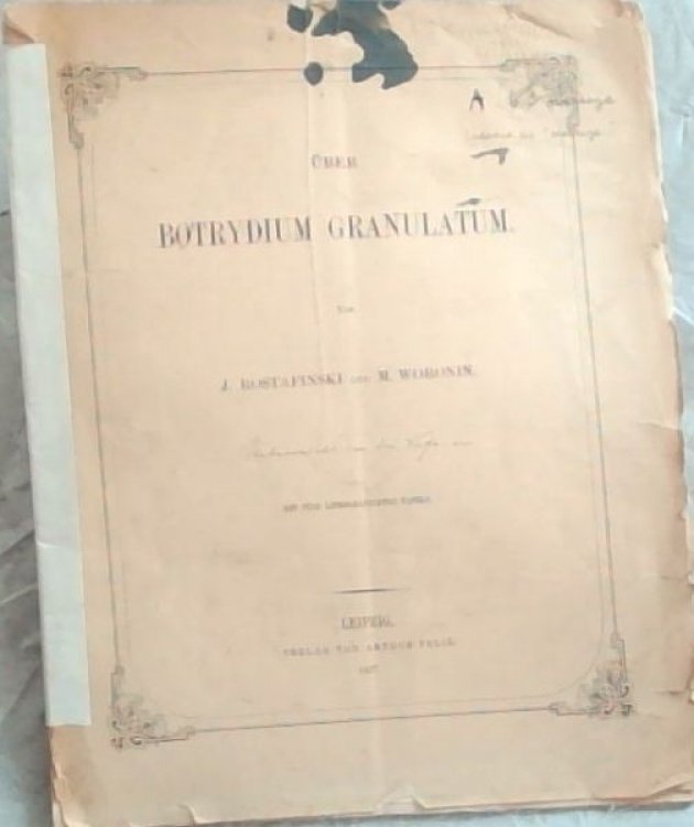 Uber Botrydium Granulatum