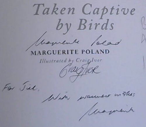 Taken Captive by Birds