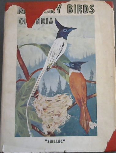 Mystery Birds of India