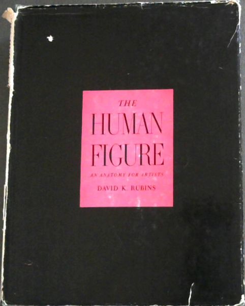 The Human Figure : An Anatomy for Artists