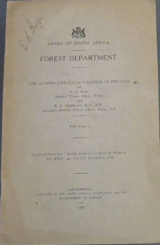 The Cluster Pine (Pinus Pinaster) at the Cape: Volume 26, pages 195-210, December, 1929 (Union of South Africa, Forest Department)