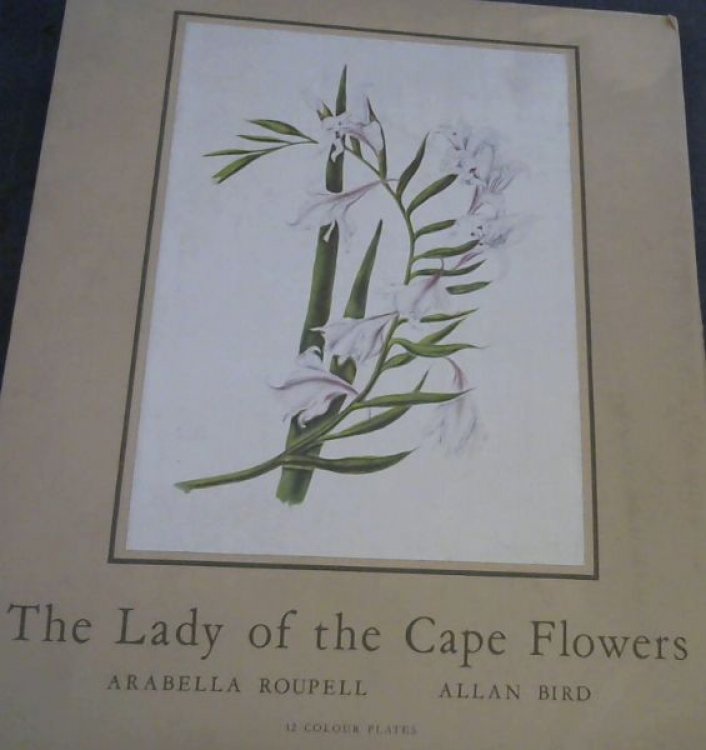 Image for Lady of the Cape Flower - 12 Colour Plates Lady of the Cape Flower - 12 Colour Plates