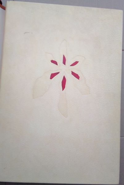 Stapeliarum: In Hortis Vindobonensibus Cultarum