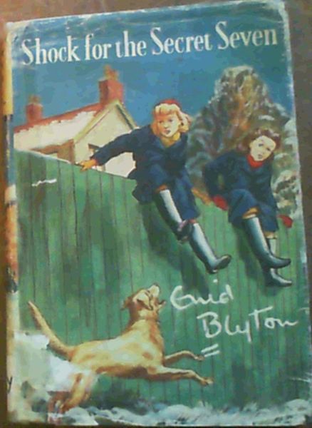 Shock for the Secret Seven