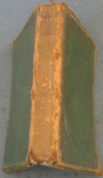 Day- Dreams of a Schoolmaster