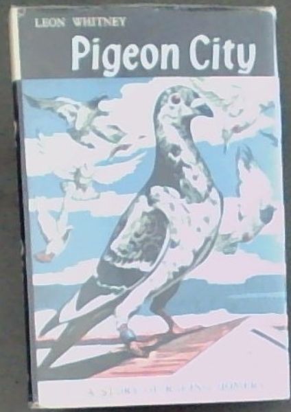 Pidgeon City