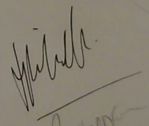 Part of the Pride: My Life Among the Big Cats of Africa