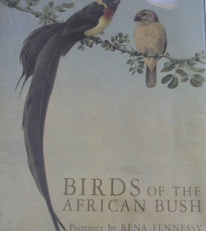 Birds of the African bush