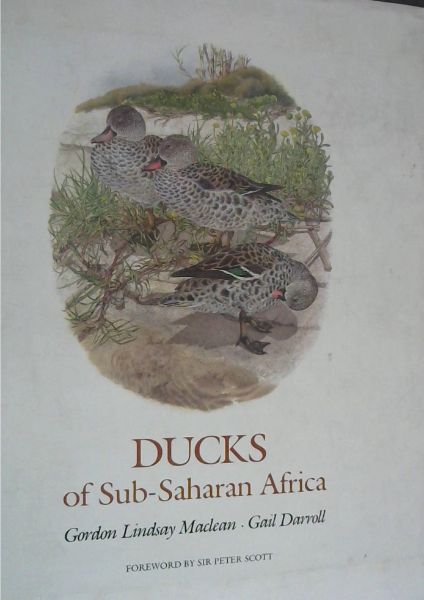 Ducks of Sub-Saharan Africa