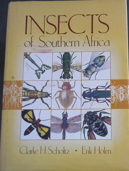 Insects of Southern Africa