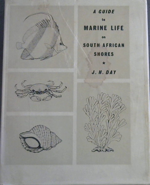 A Guide to Marine Life on South African Shores