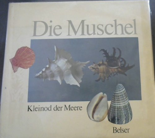 Die Muschel: Kleinod Der Meere