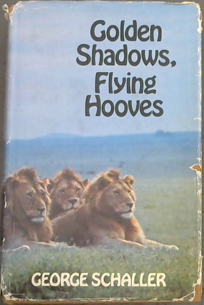 Golden Shadows, Flying Hooves