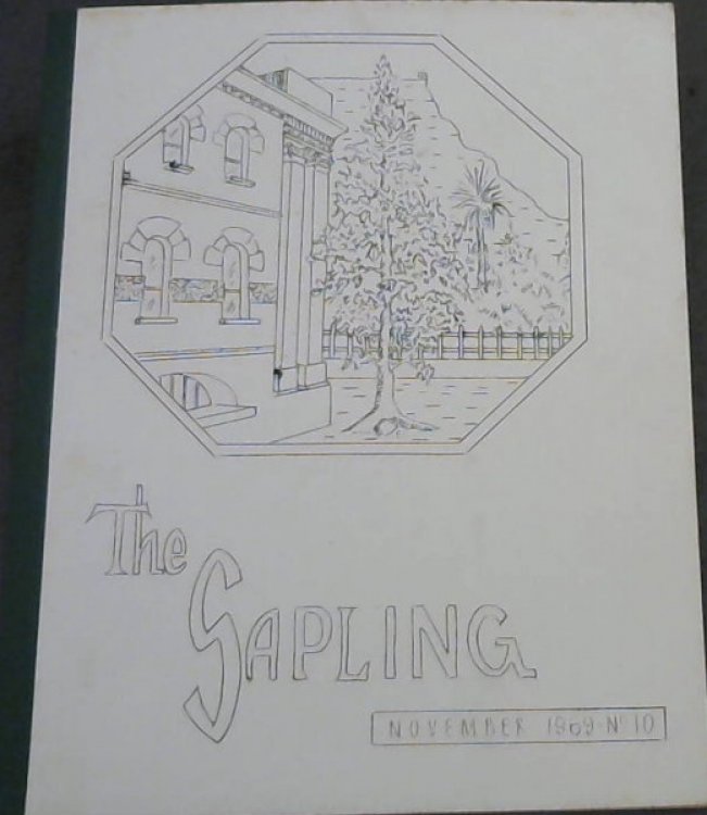 The Sapling: Staff News-Sheet of the South African Library November 1969, No. 10