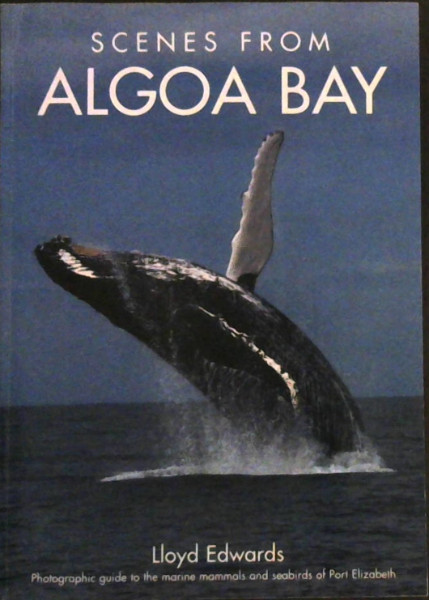 Scenes from Algoa Bay