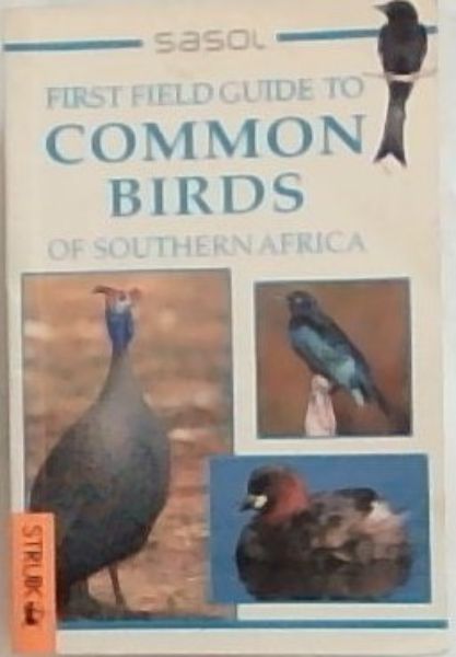 Common Birds of Southern Africa (Field Guides)
