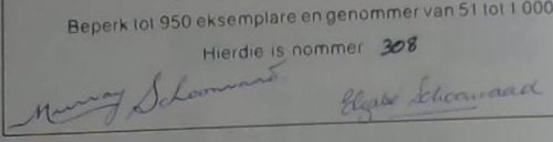 Suid-Afrikaanse spot- en strookprentkunstenaars (Afrikaans Edition)