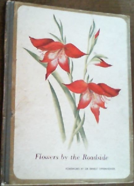 Flowers by the Roadside