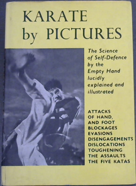Karate by Pictures