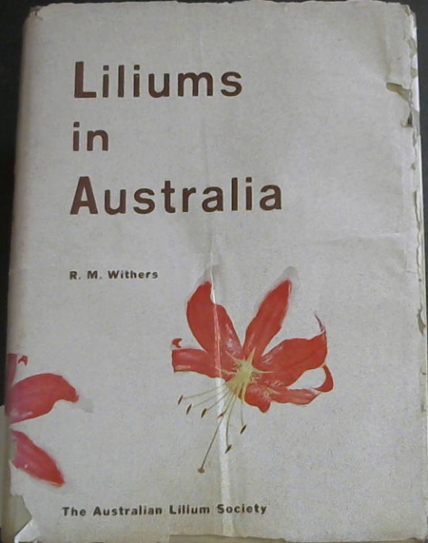 Liliums in Australia