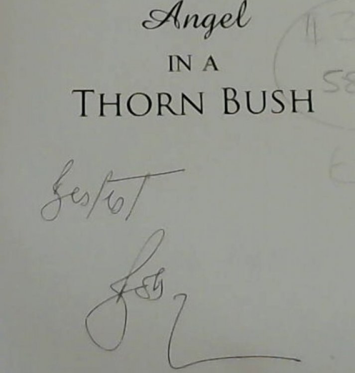 Angel in a Thorn Bush