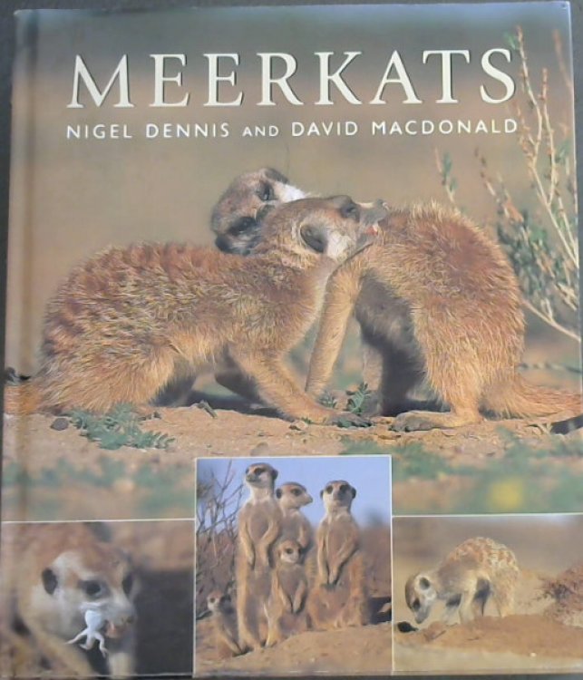 Meerkats
