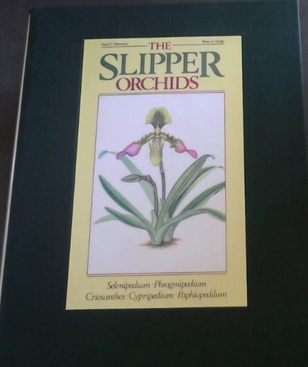 The slipper orchids