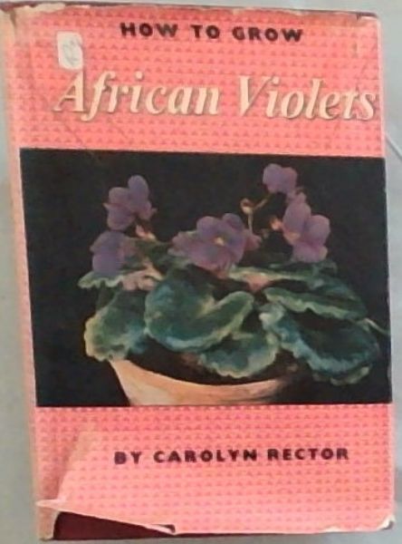How to Grow African Violets
