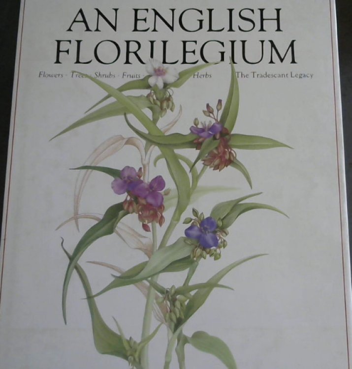 An English Florilegium