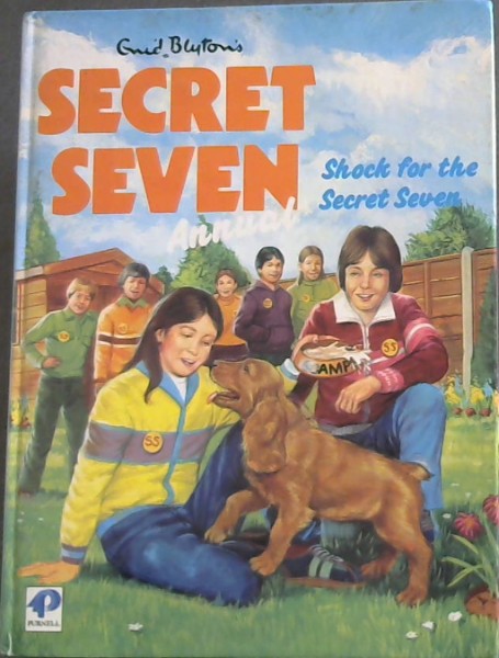 Shock for the Secret Seven