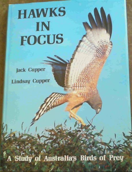 Hawks in Focus: A Study of Australia's Birds of Prey