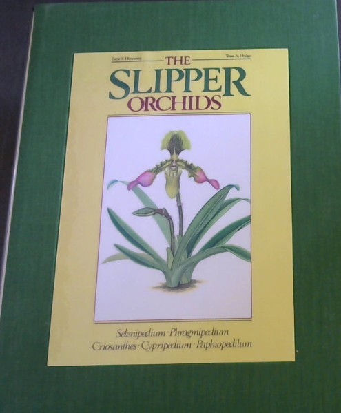 The slipper orchids