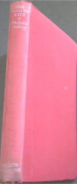 The Walled City - A Novel