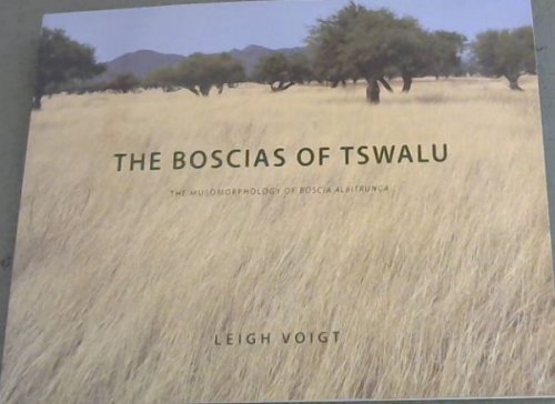 THE BOSCIAS OF TSWALU - THE MUSOMORPHOLOGY OF BOSCIA ALBITRUNCA