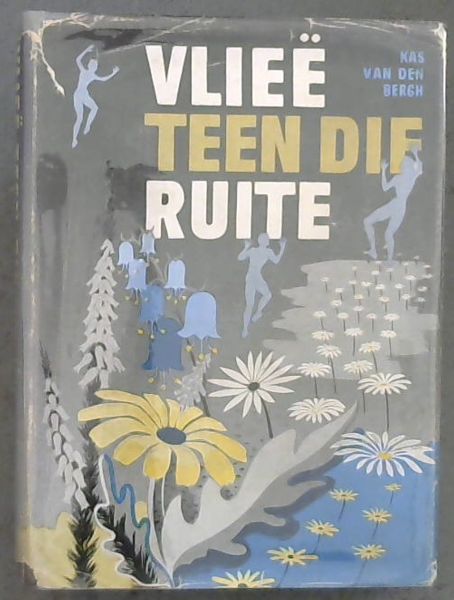 Vlie teen die ruite