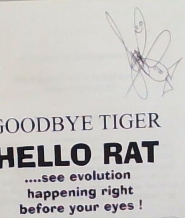 GOODBYE TIGER HELLO RAT!! . see evolution happening, right before your eyes!