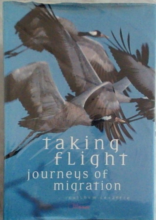 Taking Flight - Journeys of migration