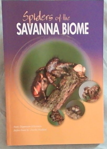 Spiders of the Savanna Biome