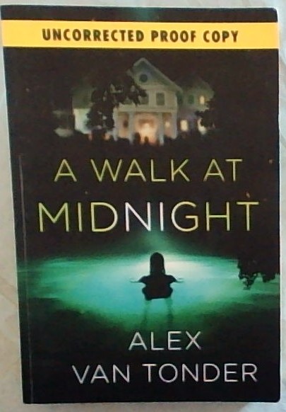 A Walk at Midnight - A Novel