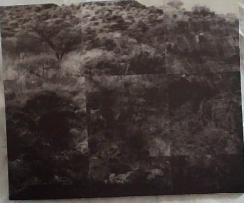 Image for FRANCKI BURGER: Belonging : The Brait-Everard Read Art Award 2008 FRANCKI BURGER: Belonging : The Brait-Everard Read Art Award 2008