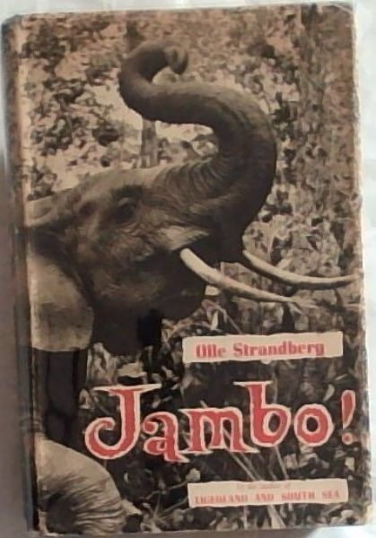JAMBO!