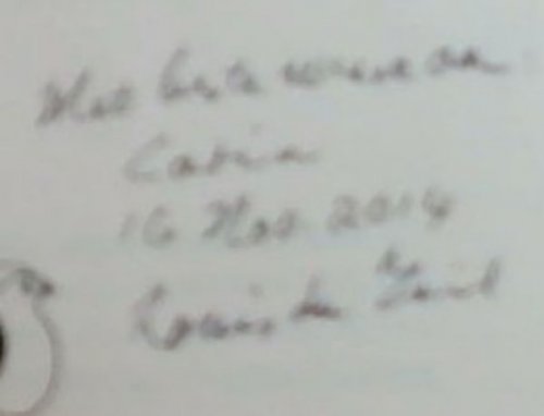 A Tickey on a Train Track (Signed by the author Louis Du Toit)