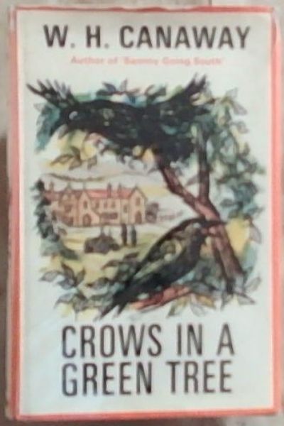 Crows In A Green Tree