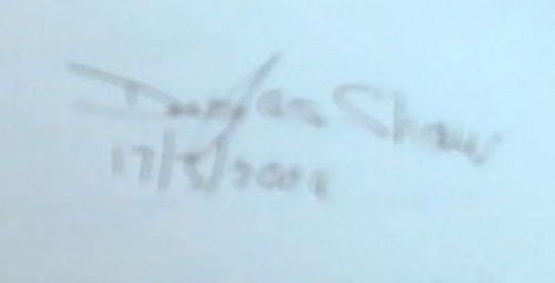 Rebels Without a Clue : Why the new socialists are anti-poor, badly read and probably poorly dressed (Signed by the author Douglas J Shaw)