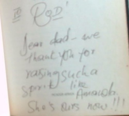 Hot Type: Icons, Artists and God-Figurines (Signed and Inscribed by the author Bongani Madondo)