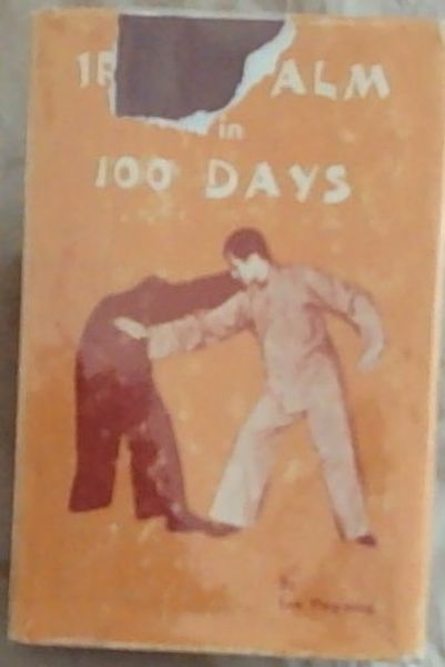 Iron Palm in 100 Days
